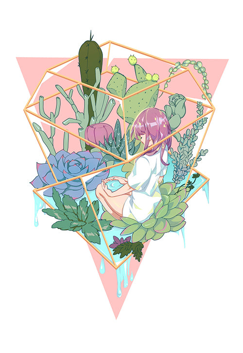 Original-Succulent